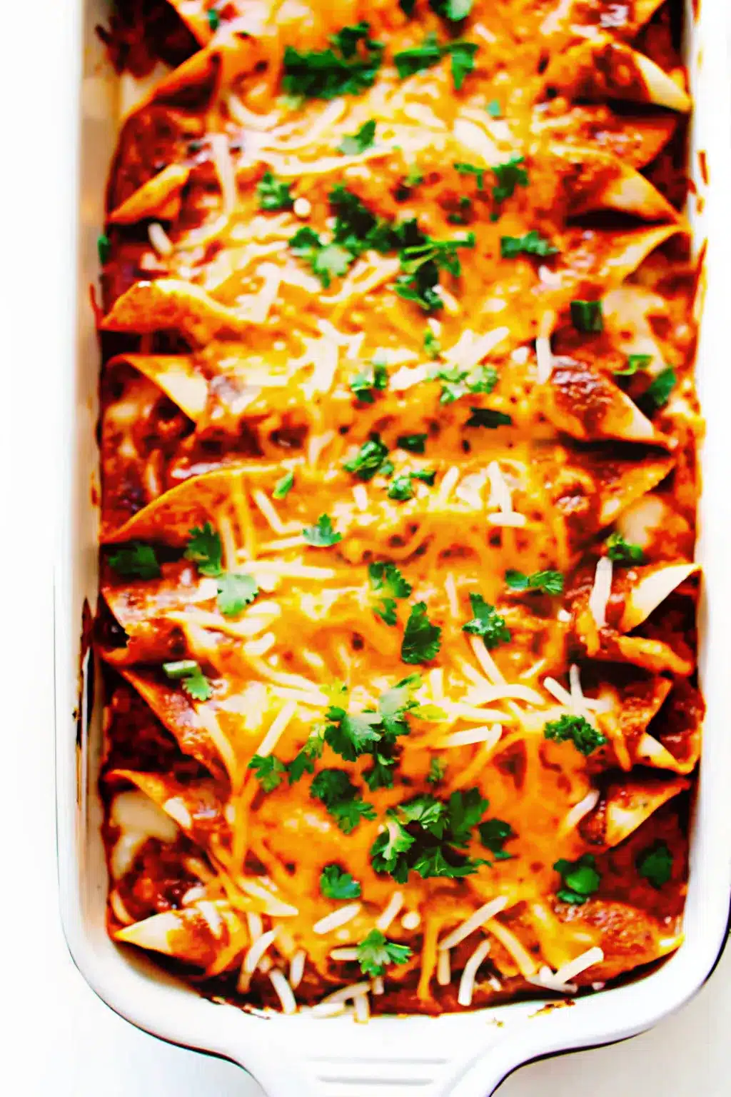 Chicken Enchiladas