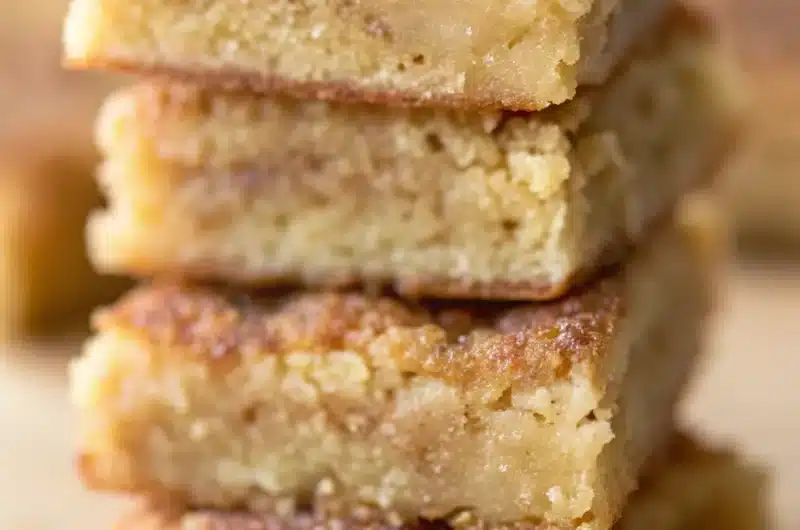 Easy Cinnamon Sugar Blondies