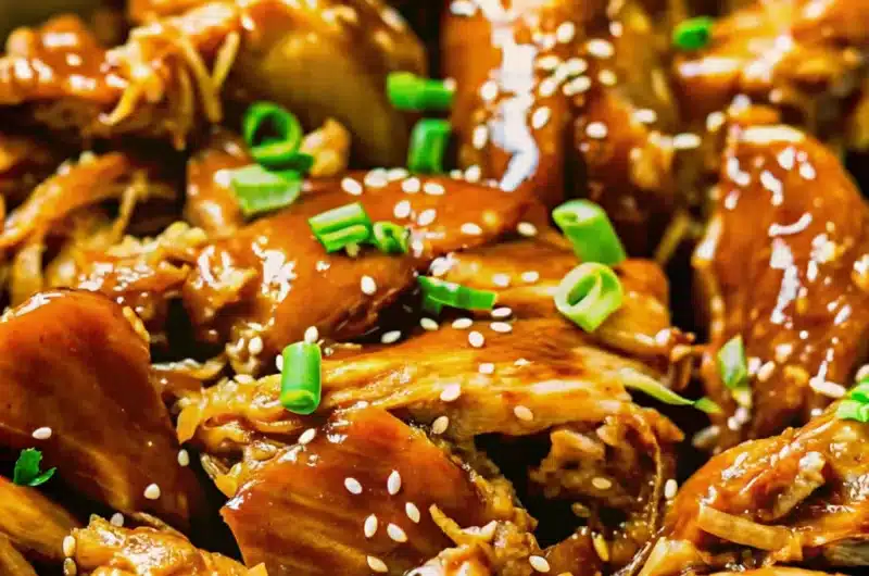 Dump and Go Crockpot Teriyaki Chicken